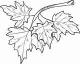 Fall Coloring Pages  Free Printable For Kids sketch template
