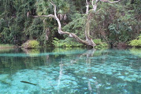 Rainbow Springs Florida - OrlandoHipster.com