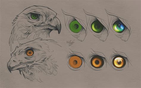 Birds of Prey Eyes Tutorial (PSD Included) by... - How to Art