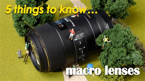 5 things to know before buying a macro lens | Digital Camera World