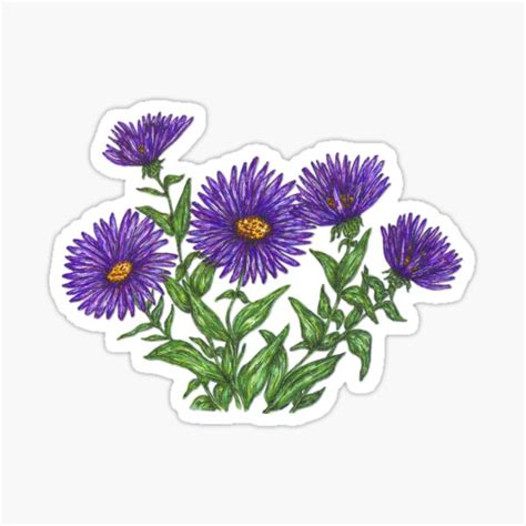 "Aster" Sticker by artbyjehf | Redbubble