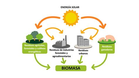 ¿Utilizar la biomasa para producir energía con un sistema ecológico?