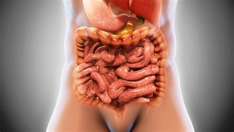 Tuberculosis abdominal: causas, síntomas. Tratamiento, diagnóstico