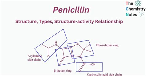 Penicillin: Types, Structure-activity Relationship