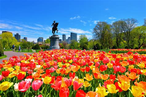 Boston Public Garden - Visit the First Public Botanical Garden in ...