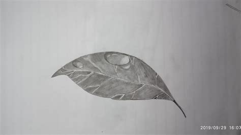 How to draw water drops on a leaf //pencil drawing tutorial // - YouTube