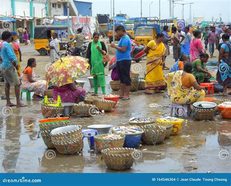 Royapuram Harbour, Fishermen With Their Nets. Chennai Tamil Nadu. Editorial Image ...