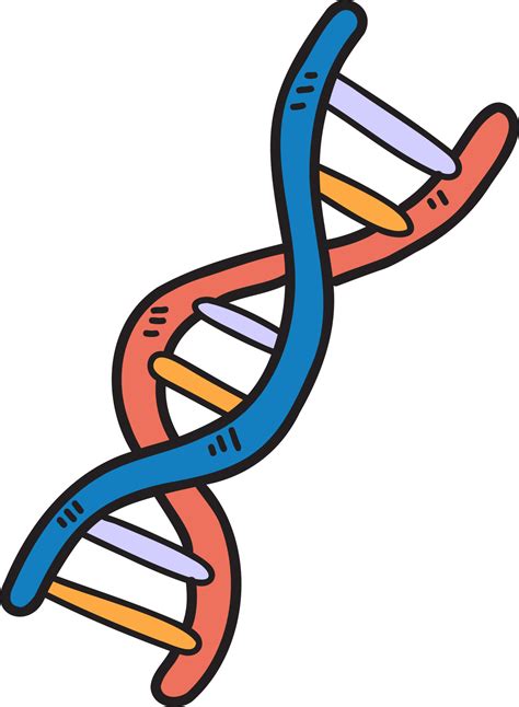 Genetics png transparent