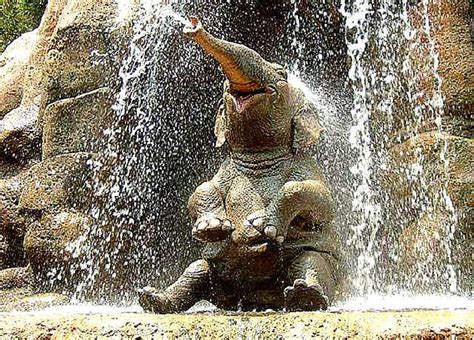 Baby Elephant In Waterfall Wallpaper | All Wallpapers Desktop