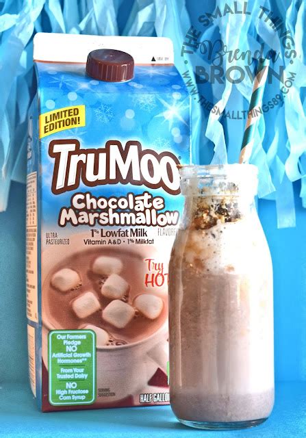 Limited Edition TruMoo Chocolate Marshmallow Milk Is A Hit In My Household! #TruMoo #TryItHot