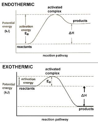 Chemistry 11: Endothermic V.S Exothermic Reactions