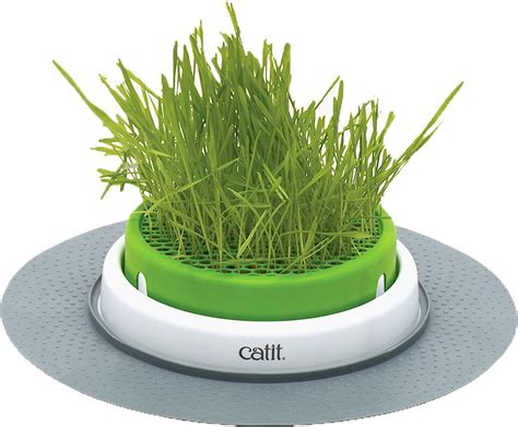 CATIT Senses 2.0 Cat Grass Planter - Chewy.com