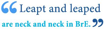 Leapt or Leaped: What’s the Difference? - Writing Explained