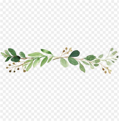 Free download | HD PNG leaf frame boho leaf PNG transparent with Clear Background ID 168760 | TOPpng