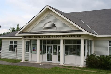 Visit the Bangor Humane Society | Helping Animals | Bangor, Maine