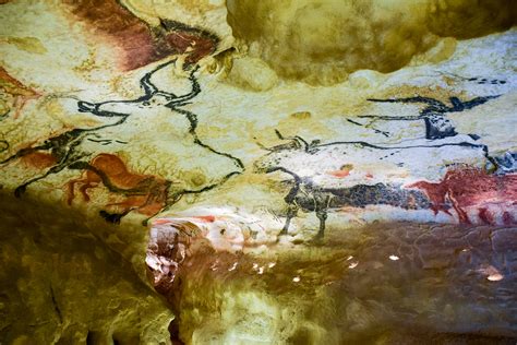 Why The New Stone Age Cave Paintings in France Are a Must-See - Travel Bliss Now