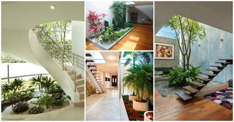 10 Dreamy Interior Gardens to Green Your Home