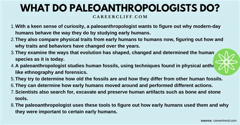 How To Become A Paleoanthropologist - Flatdisk24