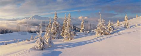 Winter panorama | Stock image | Colourbox