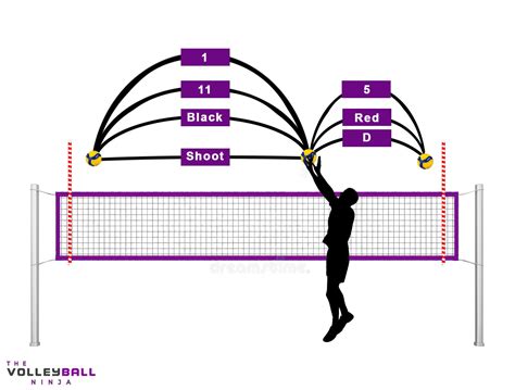 Volleyball hand signals setter - rolfbuilder