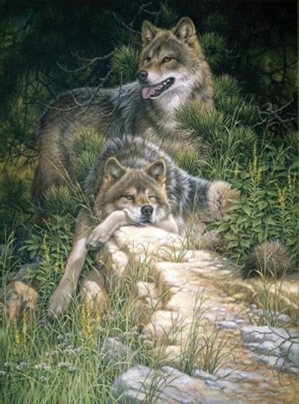 Artist Larry Fanning | Wolf bilder, Wolf zeichnung, Wolfsbilder