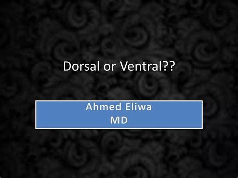 Ventral vs dorsalfinal | PPT