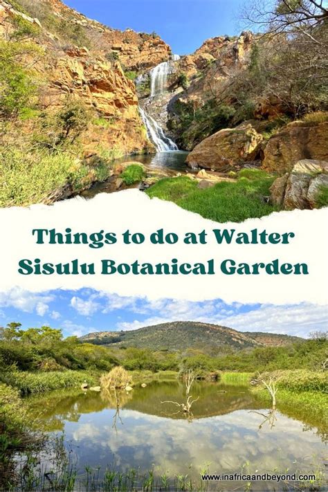 11 things to do at Walter Sisulu Botanical Garden