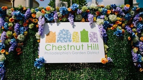 May in Chestnut Hill - Chestnut Hill