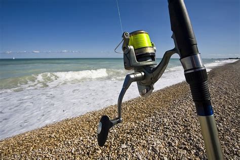 { TOP 12 } Best Surf Fishing Reels – Jun 2023 Reviews