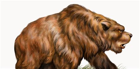 We sequenced the cave bear genome using a 360,000-year-old ear bone and ...