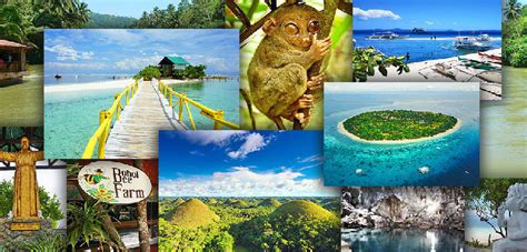 Activities like Sightseeing Tours, Diving or Rentals • Bohol Sunside Resort