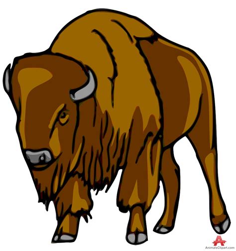 Bison clipart 20 free Cliparts | Download images on Clipground 2024