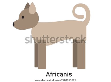 Vector Image Africanis Dog Breed Stock Vector (Royalty Free) 2201225221 | Shutterstock