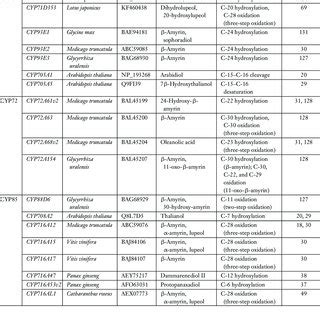 (PDF) Triterpene Biosynthesis in Plants