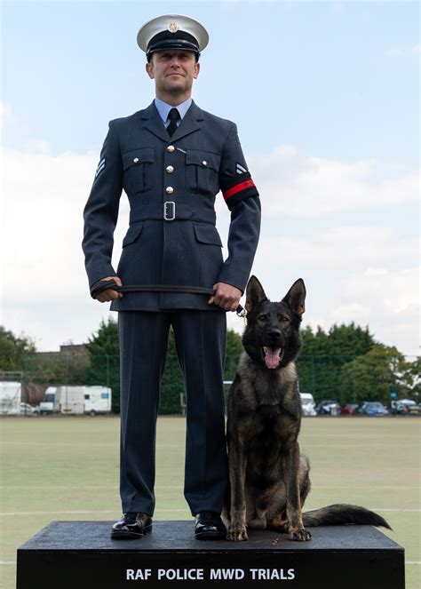 2021 RAF Police Military Working Dog Trial's winners | Royal Air Force