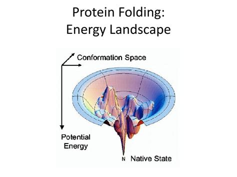 PPT - The structural organization within proteins Kevin Slep June 13 th , 2012 PowerPoint ...