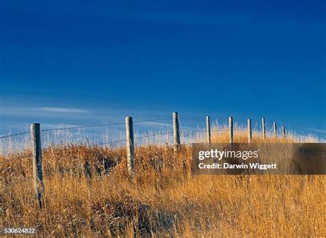 59 Linden Alberta Stock Photos, High-Res Pictures, and Images - Getty Images