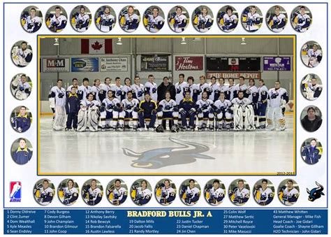 Image - 2012-13 Bradford Bulls.jpg - Ice Hockey Wiki