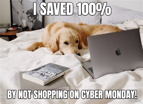 50+ Funny Cyber Monday Memes For Anyone Who Loves Discount