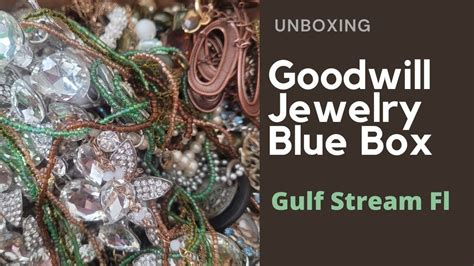 Goodwill Blue Box Jewelry Unboxing from Florida - YouTube