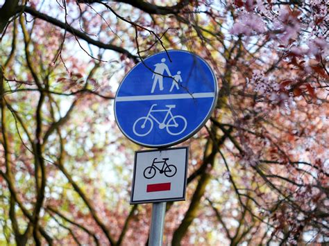 Bike route sign Free Photo Download | FreeImages