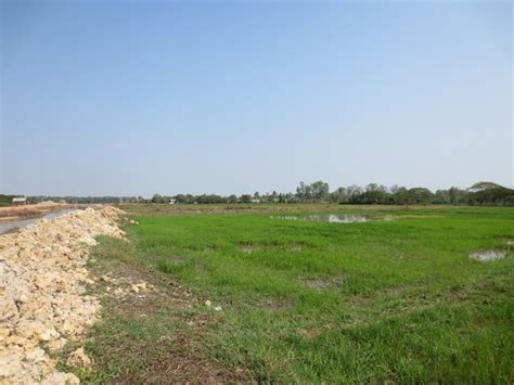 Agriculture Land For Sale – Real Estate, Houses for Sale, Rentals ...