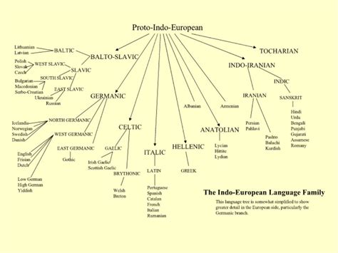 Indo-European Language Tree