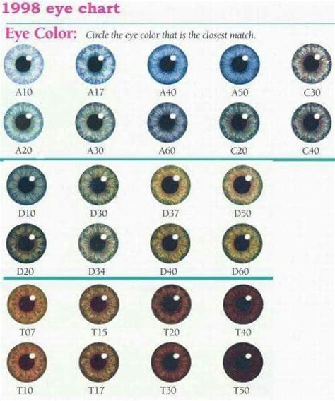 Pin by Michelle Gomez on secret loves :) | Eye color chart genetics, Eye color chart, Eye color ...