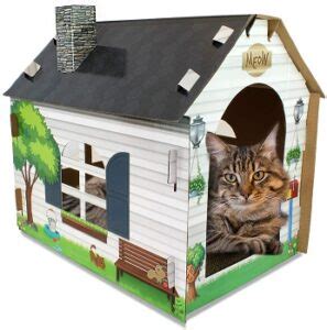 Best 6 Cardboard Cat Scratcher House For Big And Small Cats