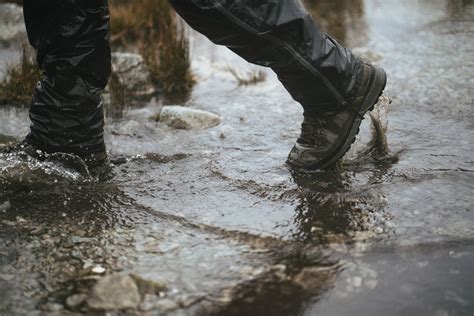 Walking in the water | Premium Photo - rawpixel