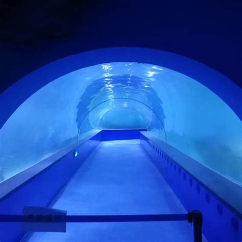 China Acrylic Aquarium Tunnel Suppliers, Manufacturers - Factory Direct ...