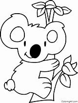 Free Printable Coloring Pages Koala Bear  259 SVG Cut Cricut sketch template