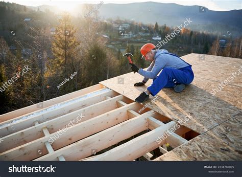 281 Osb Ceiling Images, Stock Photos & Vectors | Shutterstock