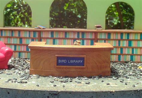 Stuck in a Book – Bird Library